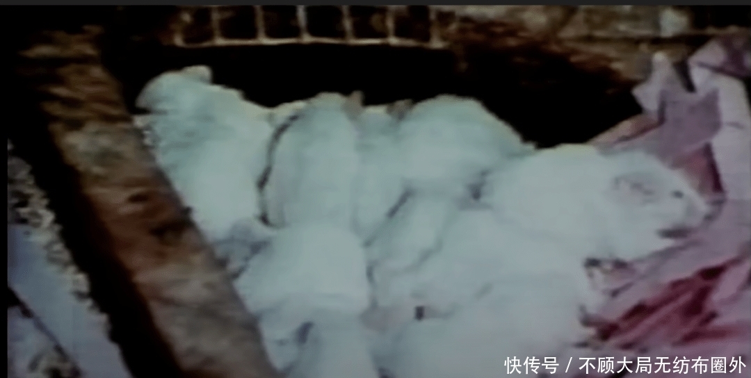 细思|一个细思极恐的心理学实验：为何与家人住在一起，会让人抓狂？