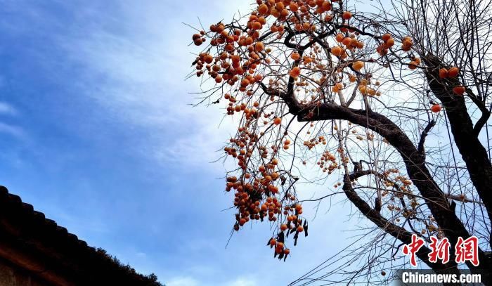 南漳|湖北南漳：乡村秋冬美景入画来