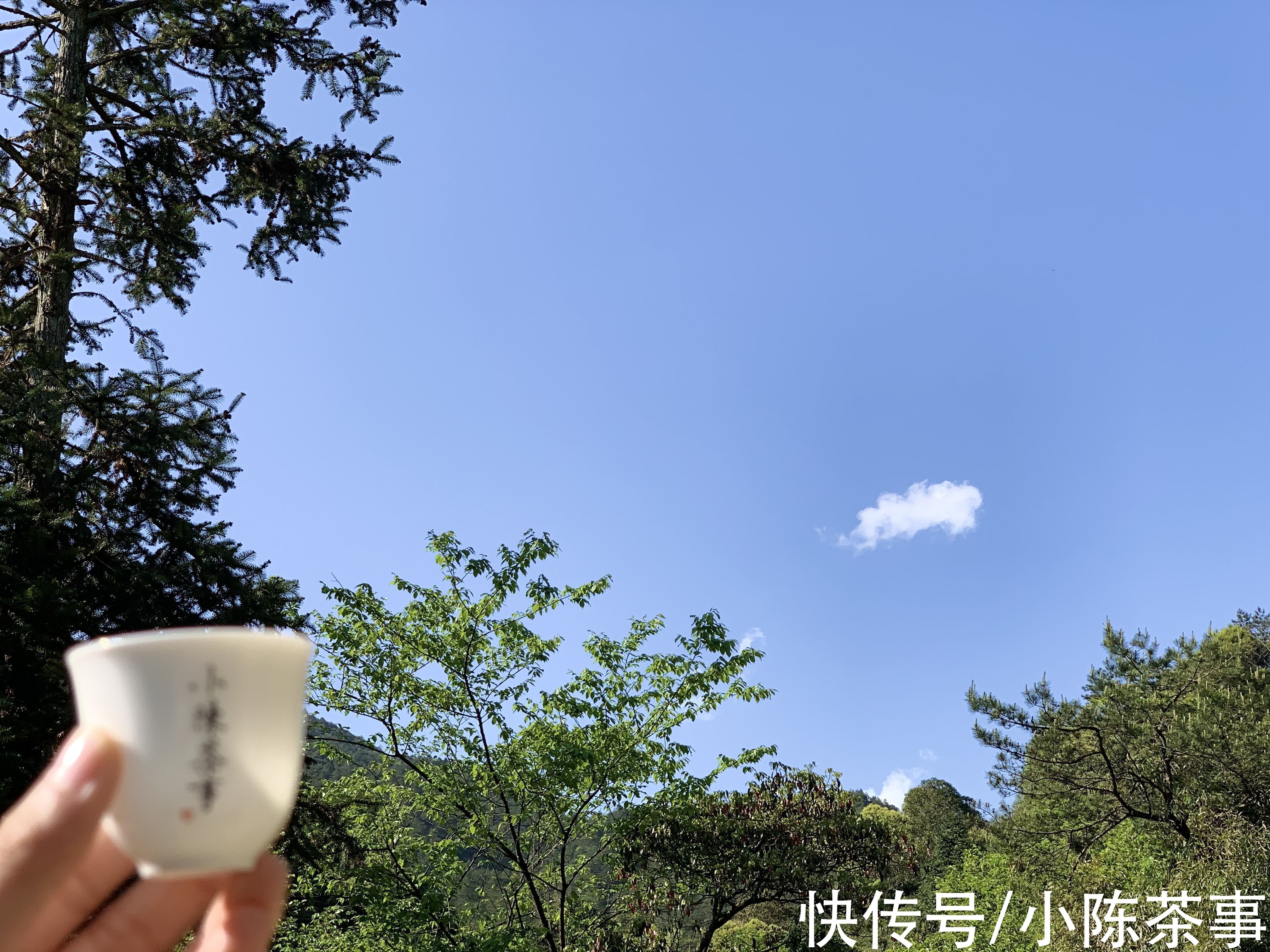 3个分辨正山烟小种红茶的方法，踩过无数坑后的教训，很有用哦
