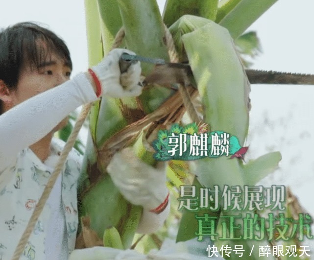 向往的生活何炅阻止彭昱畅上树,听清喊话内容,这才是真正威严