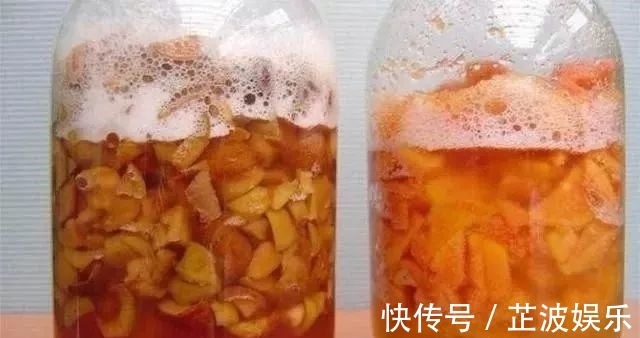 绿萝浇啤酒,文竹来勺糖,1个月嗖嗖长2米!