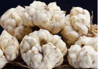 全家|女人变老不用怕,每周吃一次此食物,美容延缓衰老,全家人都爱吃