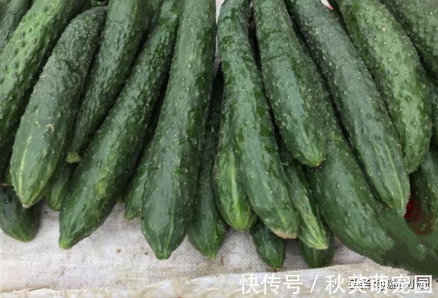 打了激素的黄瓜怎么辨认?老菜农:教你一招,看一眼就能区别