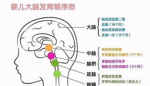 关键期|宝宝出生“头三年”很关键,家长做好这3件事, 孩子会很聪明