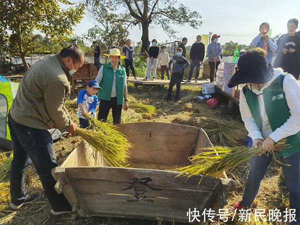 潜口|金秋时节，在潜口小镇看风吹麦浪稻田香