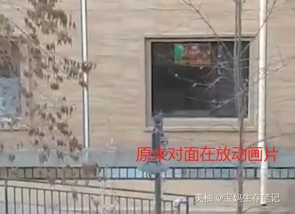 妈妈|妈妈禁止女儿看电视,女儿却趴在阳台发呆,仔细一瞧原来如此