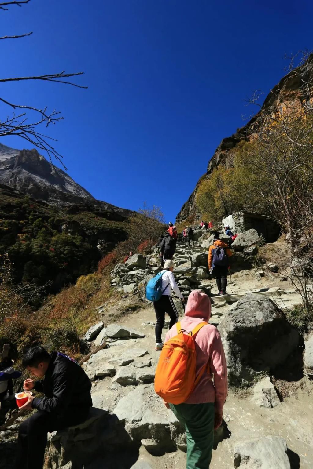 高原|高原有毒，你会上瘾！勇闯稻城亚丁，人生第一次看到雪山......