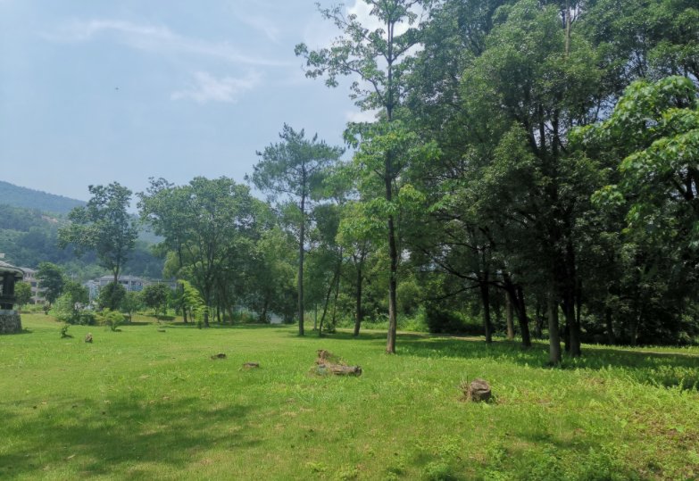 大若岩滩林|大若岩滩林：来这里放松！摊开垫子就可坐享美景