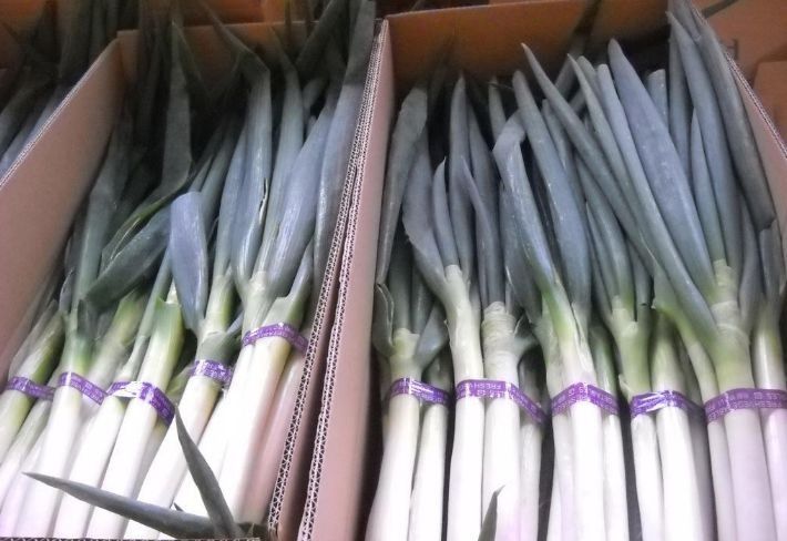 葱农教我3招，大葱放一冬也新鲜，不干不黄不空心，城里人快学学