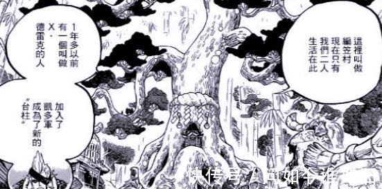 觉醒者|海贼王古代种觉醒者出现,实力获大将认可,赏金排第二!
