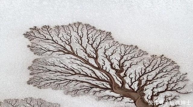 眼睛|你的眼睛捉弄了你,24张难以置信的照片