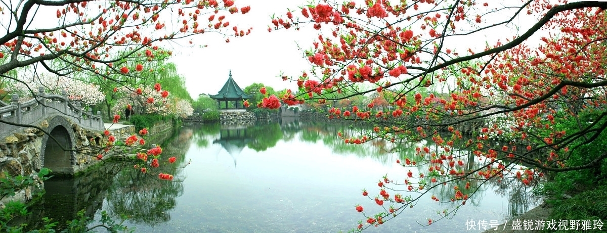 苏州|巨虾来袭?苏州钓鱼人汾湖钓起“大虾王”,钓友:太大了还能吃吗