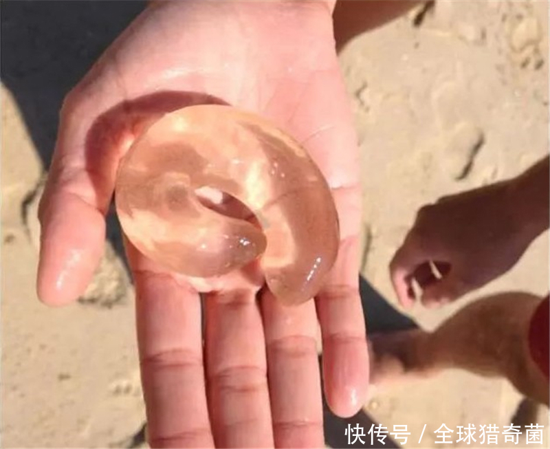 用人工|网络有多恐怖？不管问什么，万能的网友都能解答！