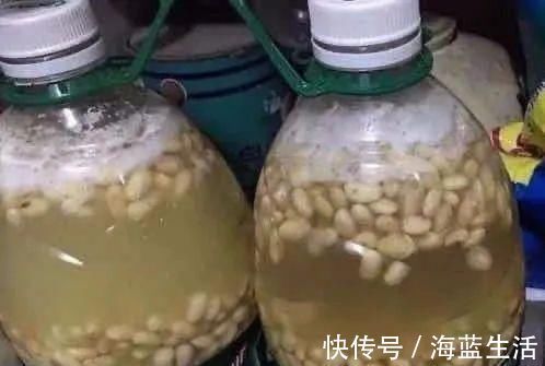 植株|花肥不用花钱买，3种“天然花肥”家里就有，花儿用了，枝繁叶茂长得旺