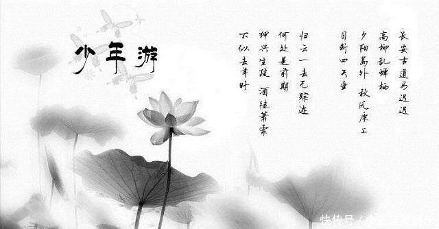 科举|柳永为何终生无官?王安石误食鱼饵被宋仁宗骂狡诈,更何况是他