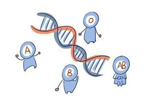 血型|血型决定宝宝性格?学者的猜测被否认,娃的性格与“成长”有关