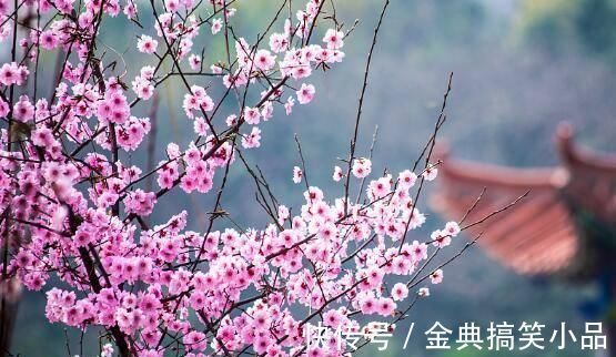 琵琶行!白居易非常经典的一首绝句,只有短短四句话,开篇7个字惊艳世人