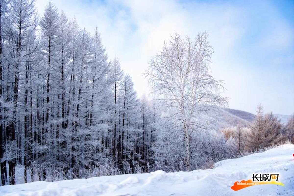 塞罕坝|高清组图｜塞罕坝·雪