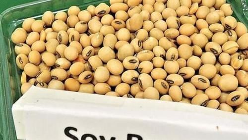 食物|女性想要皮肤好,推荐多吃几种食物,排毒养颜,肌肤美白又细腻