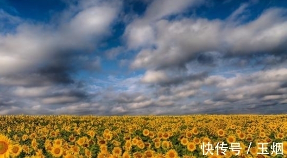 转身|3天后，拾起骄傲，体面转身，不留余地，不再往来，此生不复相见