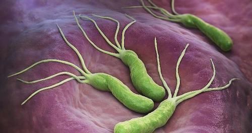 身体若有出现症状,别忽视,或许暗示幽门螺杆菌已上身