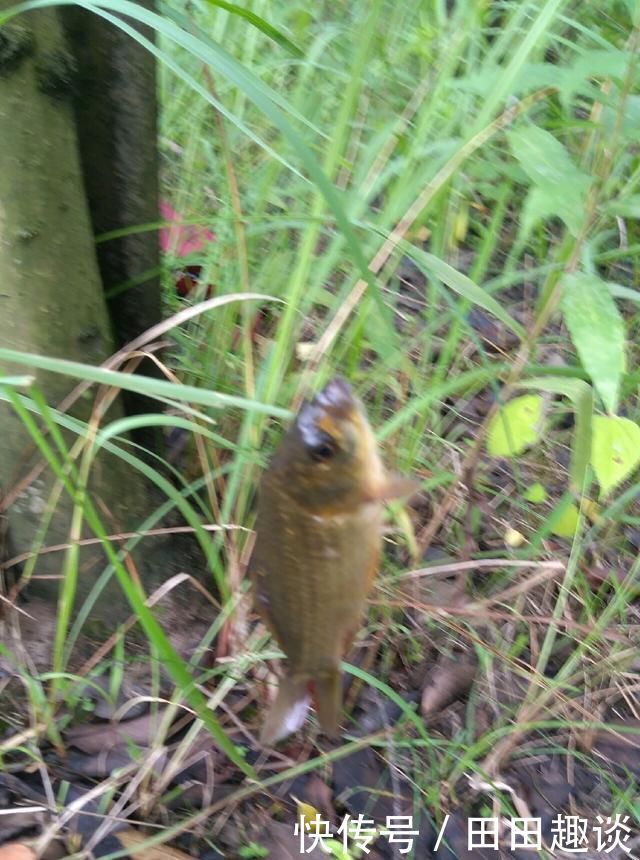 野钓小技巧浮漂做一个小改动,惊鱼几率大降