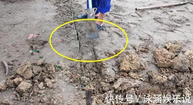院子|老爸在家闲不住,用红砖铺院子,拼花效果比大理石还好看耐用
