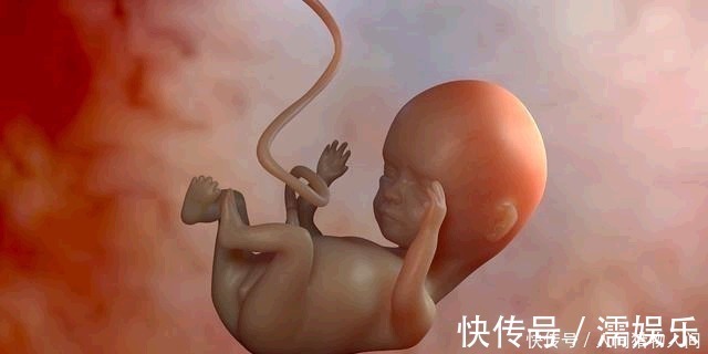 巨大儿|从怀孕到出生，胎儿体重若在这个''范围''内，暗示营养足、发育好