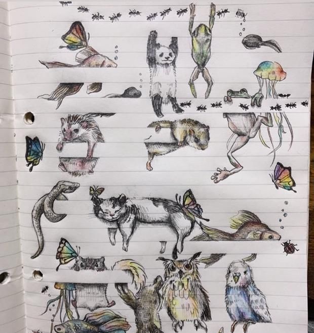 小青蛙|当本子遇到二次元插画师,爬上“栏杆”的小动物们实在太可爱了