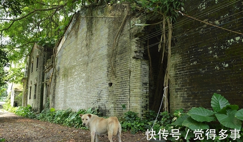 村人|最恐怖的无人村荒废20年不见天日曾经的欢声笑语如今荒无人烟