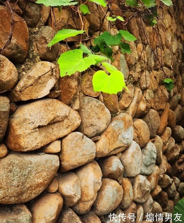 石狗@到南安!到九溪!到那“石狗蛋”的山中世界!