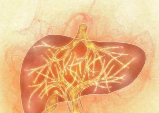 海鲜|医生:想长寿,3种菜说啥不要端上餐桌,1种“零食”常吃养肝长寿