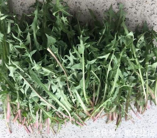 碱性食物|尿酸过高不用慌,学会吃这几样食物,能将尿酸轻松排出去