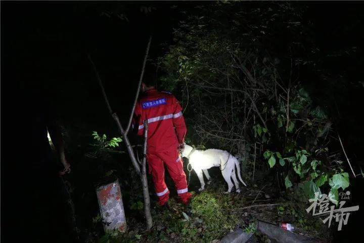 “跑得像飞一样！”凌晨1点，无人机发现第三只豹子，合围失败