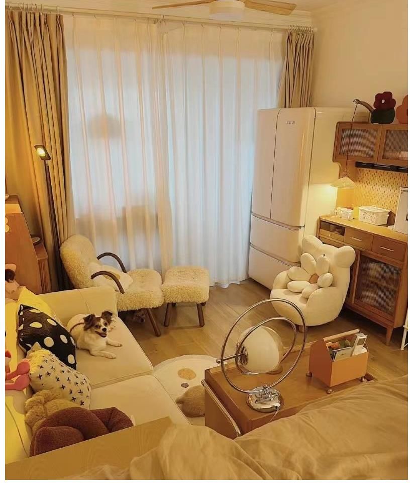 狗狗|30㎡小户型，客餐厨全都有，还有独立的狗狗房，1平米当2平米用