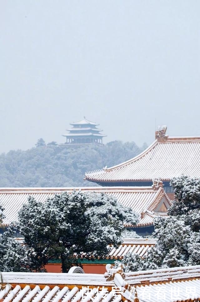 紫禁城|每年下雪刷上热搜！穿越第一网红紫禁城，潮玩鸟巢水立方