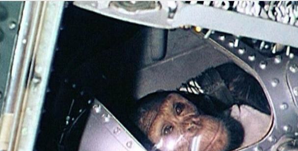 当年被送入到太空的动物们，后来怎么样了？它至今仍在太空漂浮