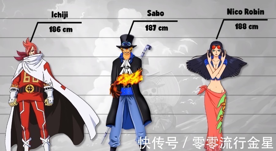 文斯莫克|海贼王数据公示2罗宾长腿令女生羡慕,山治家族只有两个正常人