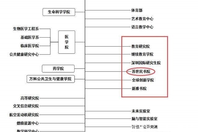 来历|清华大学苏世民书院什么来历？美国大佬捐款1亿美元，称看好中国