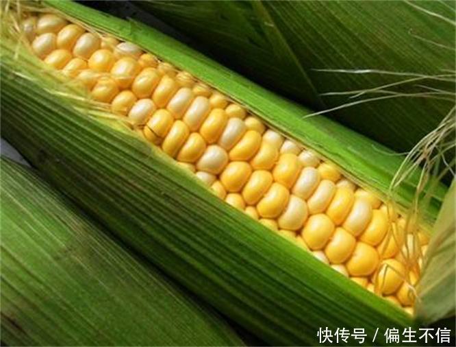 女性爱美,推荐吃3种食物,滋阴降火,排清污血,预防子宫早衰