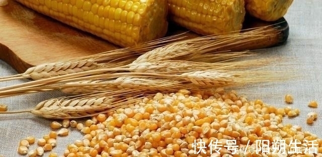 大鱼|夏季守巨物的3个要素，“诱鱼、留鱼、钓鱼”，缺一不可！