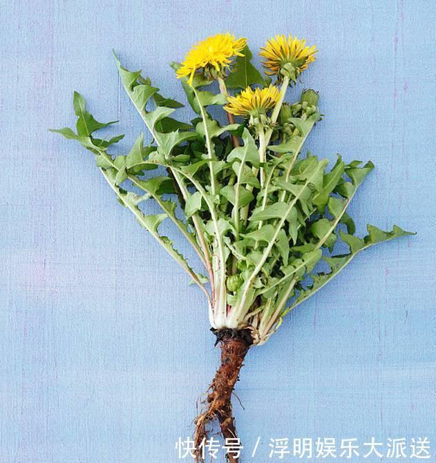 两种材料泡水喝,就是降糖小能手,三高病人的