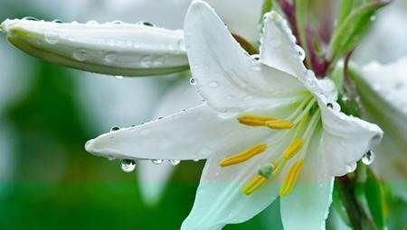 私处|又复发炎症了？别担心，睡前用它们泡水喝帮你消炎杀菌