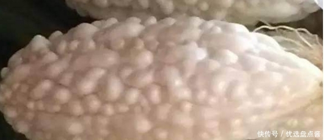 没吃过|这5种罕见水果,很多人都没吃过一种,你都吃过吗?