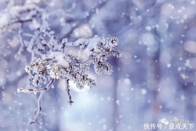 相约|相约灵台的冬季