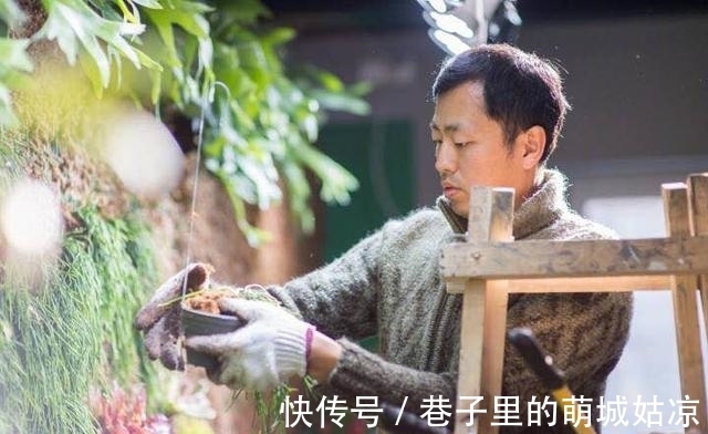 王昱珩|被《人民日报》表扬,1000万姑娘都想嫁,他将家变成热带雨林