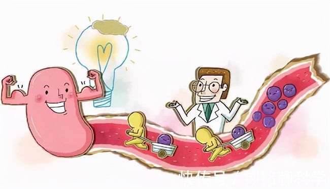 去世|养生大师林海峰去世，终年51岁，反思：这3种养生方式真的会要命