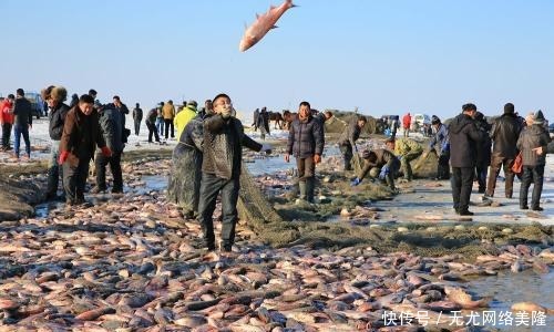 湖中|“查干湖冬捕”历史悠久,湖中鱼却越捕越多?这些人行为太可恨
