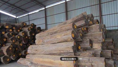 值钱|为什么金丝楠木,比“黄金”还要值钱切开后瞬间就明白了