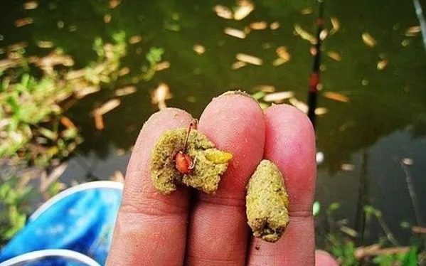 掌握这3大钓鲫的“秘诀”，连竿上鱼那都不是事！秋季用刚刚好。